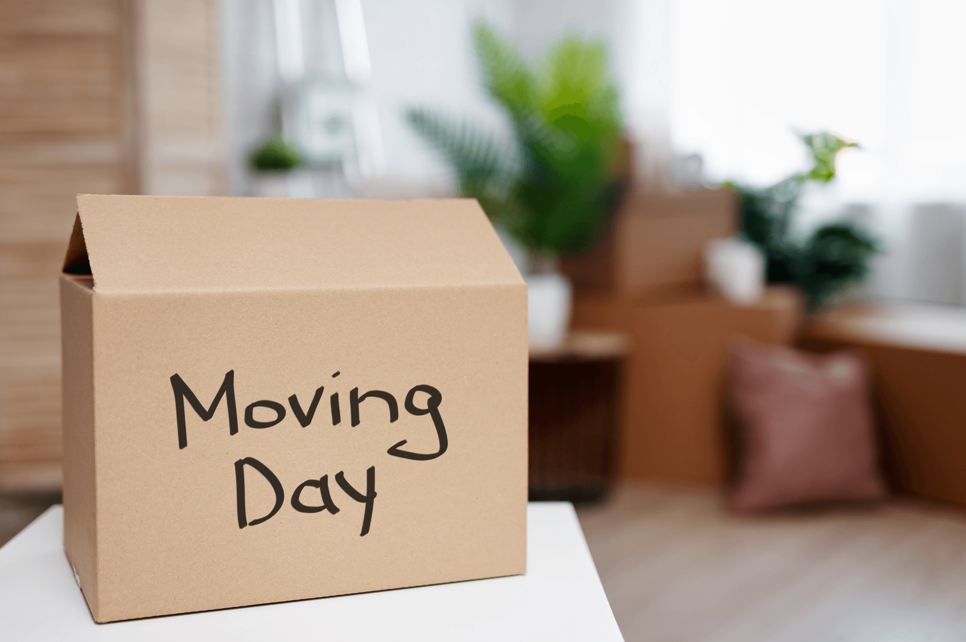 How Far in Advance Should You Book a Moving Company? (2026)