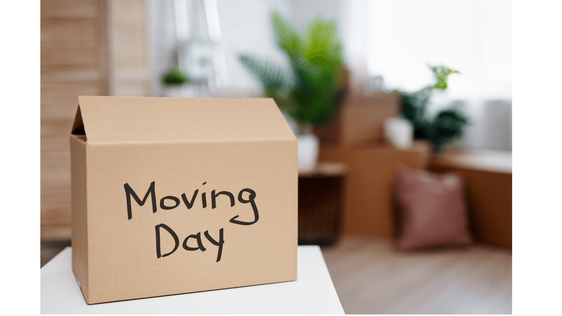 Tips for choosing a mover